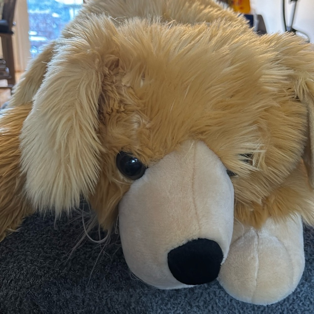Pottery Barn Golden Retriever body pillow!
